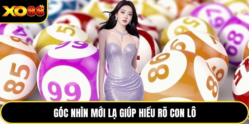 Góc nhìn mới lạ giúp hiểu rõ con lô